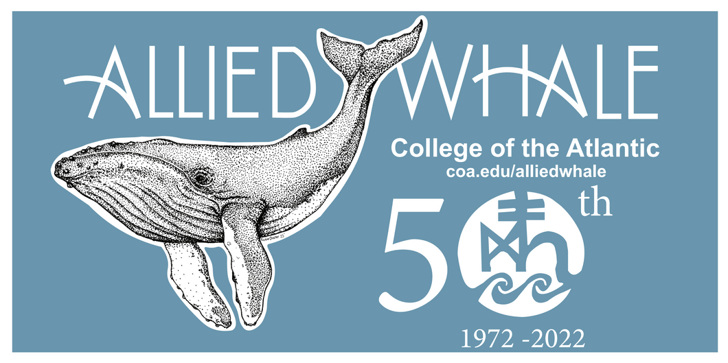50th Anniversary Bumper Sticker- SOLD OUT