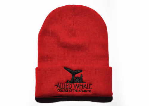Knit Beanie