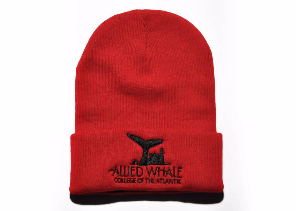 Knit Beanie