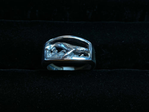 Humpback Whale with Sea Floor Ring