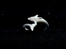 Dolphin Rings