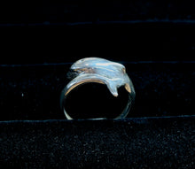 Dolphin Rings