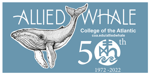 50th Anniversary Bumper Sticker- SOLD OUT