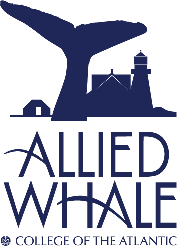 Allied Whale Store Gift Card